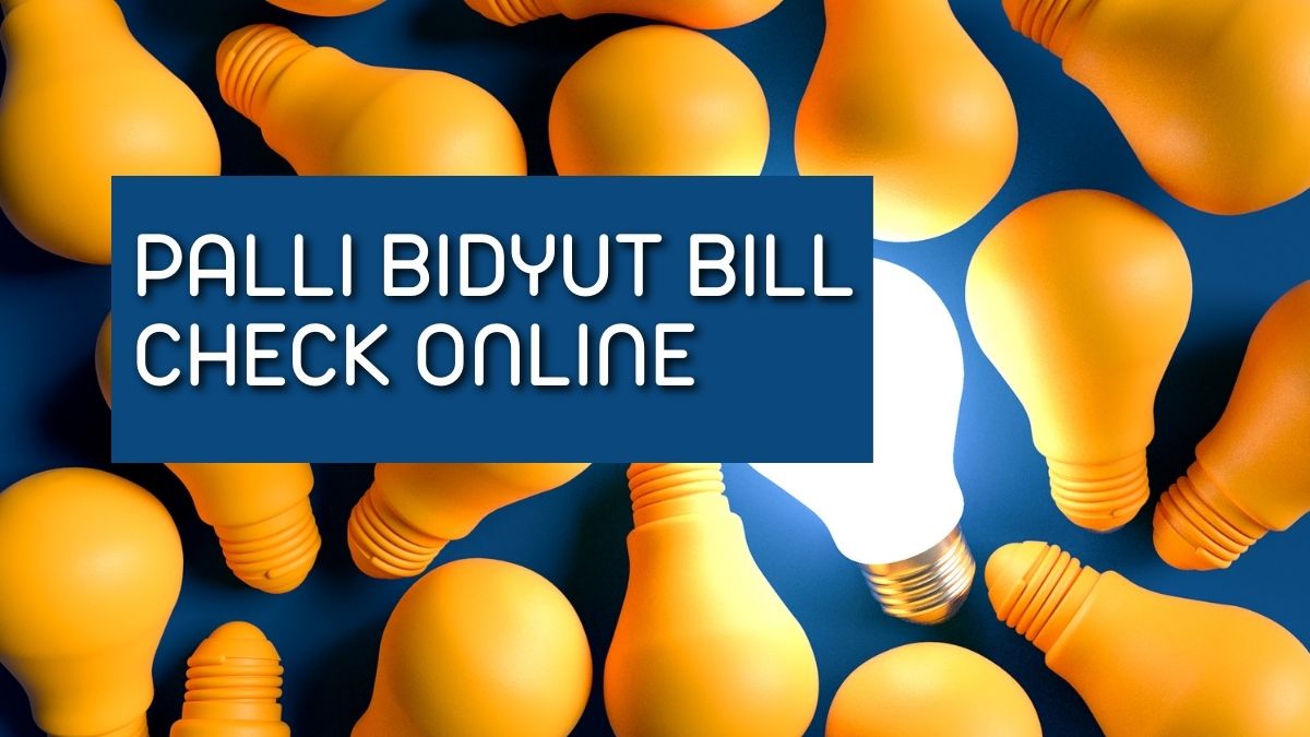 Palli Bidyut Bill Check Online