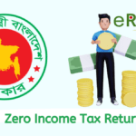 Zero Income Tax Return