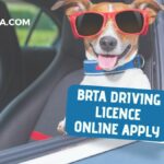 BRTA Driving Licence Online Apply