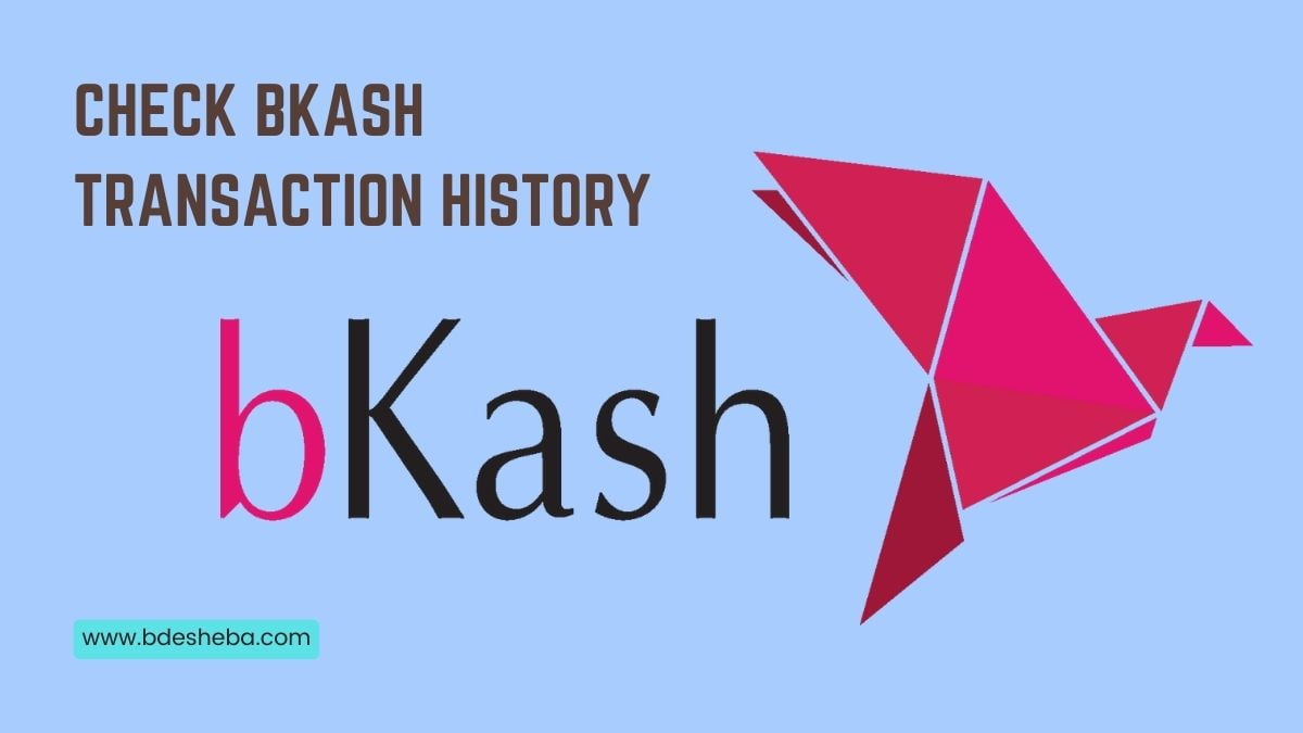 Check Bkash Transaction History