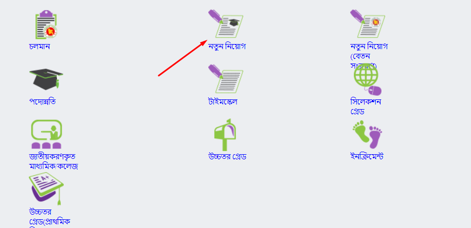 Online Pay Fixation Process